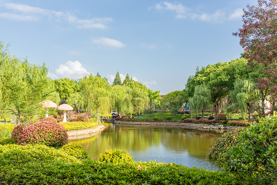 校园场景2